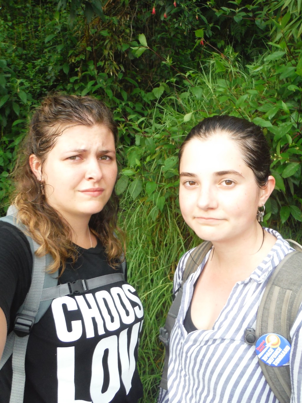 Rainforest frustrations and jungle&nbsp;revelations