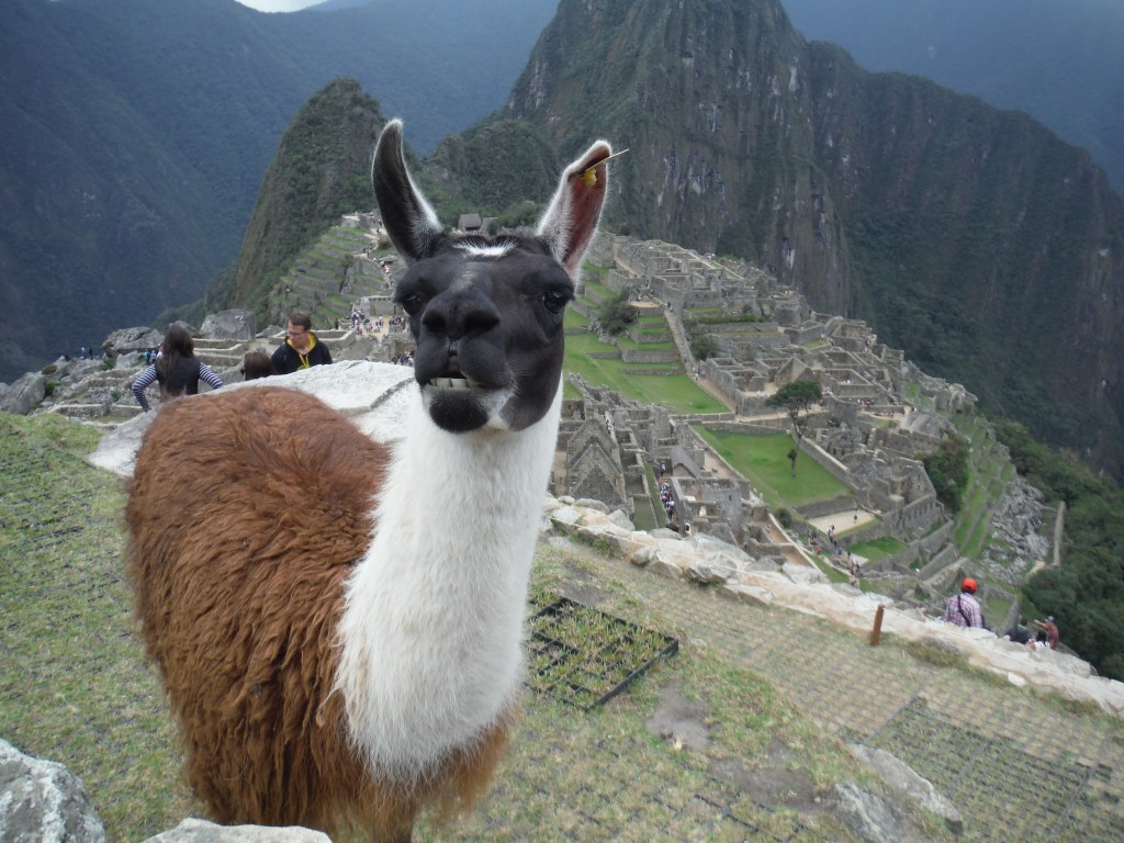 An interlude in&nbsp;Peru