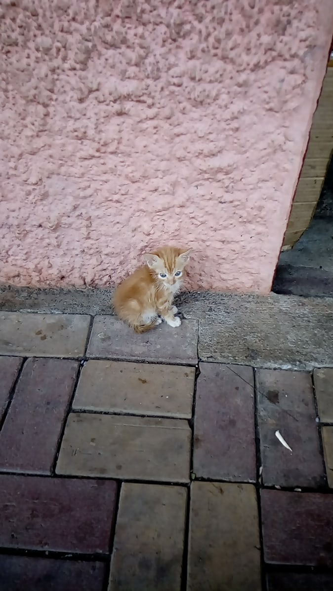 25-01-2018 Back home